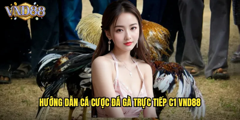 Hướng Dẫn Cá Cược Đá Gà Trực Tiếp C1 VND88