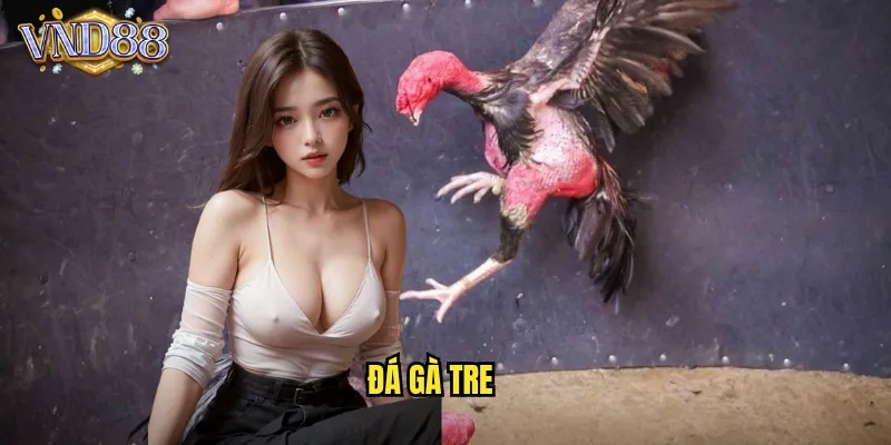 Đá Gà Tre VND88 Giống Gà Việt Nam Sức Mạnh Khủng Khiếp 8 Đá Gà Tre