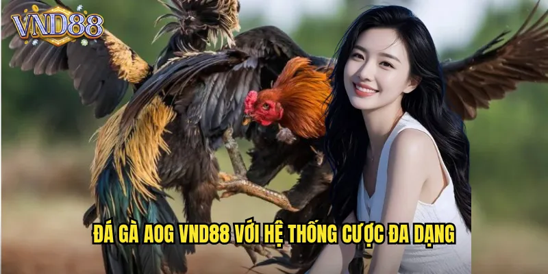 Đá Gà AOG VND88 Với Hệ Thống Cược Đa Dạng