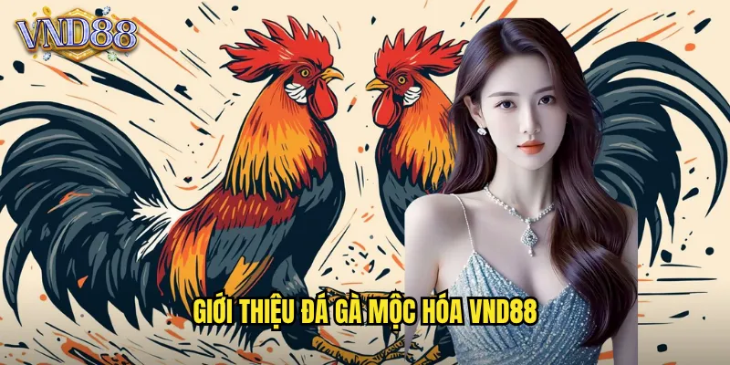 Giới Thiệu Đá Gà Mộc Hóa VND88